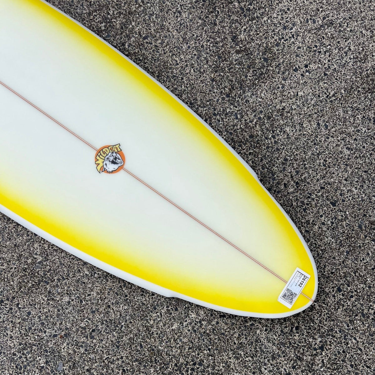 Buy the Best Hybrid Fish Surfboard NZ | Hybrid & Fish Boards