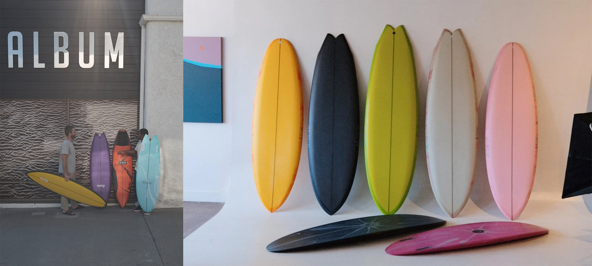 The Best Surf & Skate Shop in NZ Freeride Surf and Skate