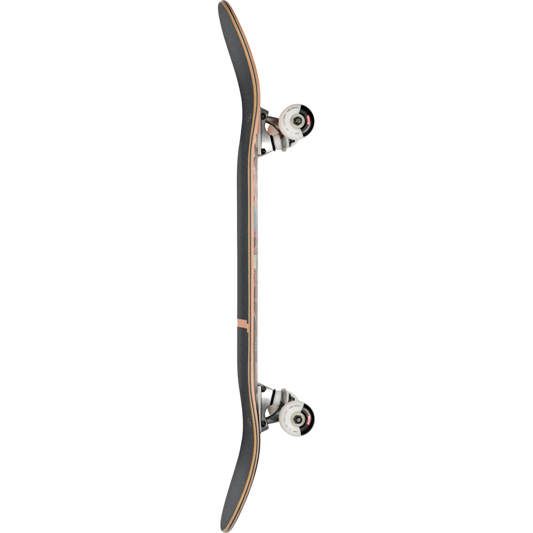 Close-up of Globe G1 The Visitation Terra Bay setup — features Tensor Alloy trucks, Abec-7 bearings, and durable construction. Available at Freeride Surf & Skate NZ.